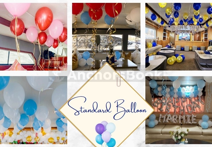 3-6 Hour Birthday Party 52ft Yacht With Cake, Decorations & Drinks Included – Dinner Optional – (Up to 17PAX)