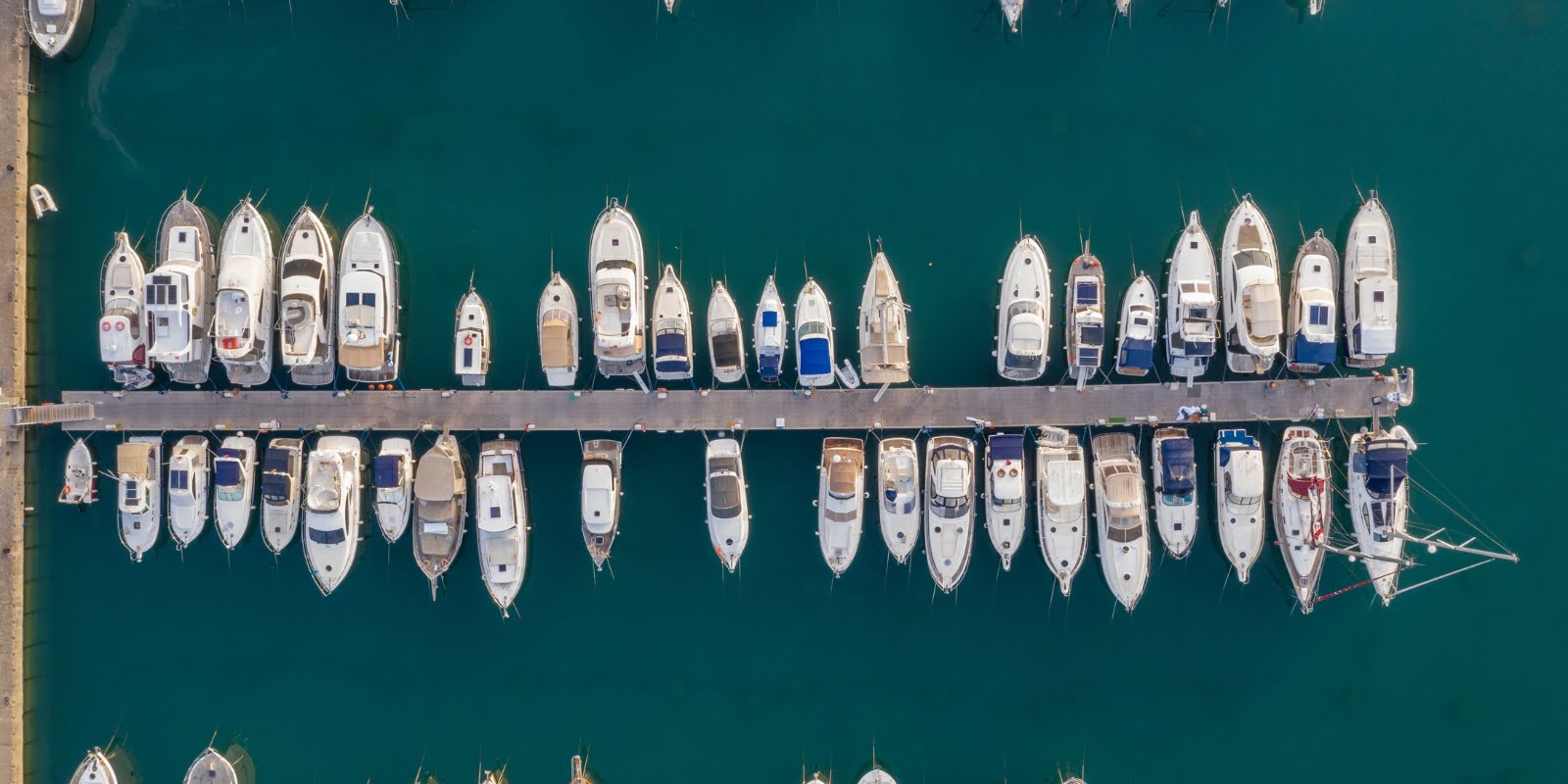 boat rental