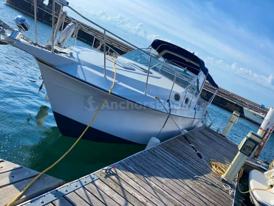 Ready to Party on 34ft MTX Stylish Motor Yachts (Up to 10 people)