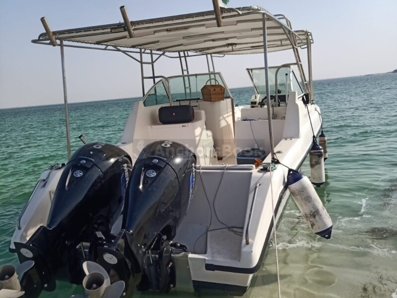 Private Cruise Boat Rental IN ABU DHABI – Max 8 Guests