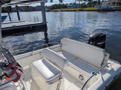 Boston Whaler Dauntless 180