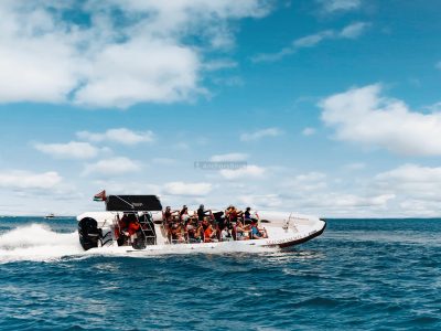 90 Minute Speed Boat Tour: Marina, Atlantis, Palm and Burj al arab