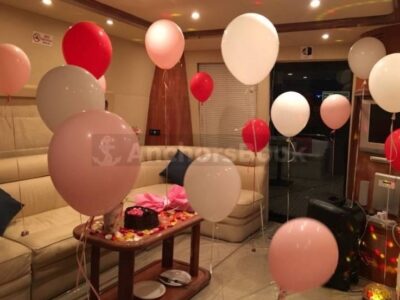 3-6 Hour Birthday Party 75ft Yacht With Cake, Decorations & Drinks, Waterslides & Inflatables – (Up to 30PAX)