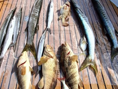 Deep sea Fishing & BBQ (4 hours)