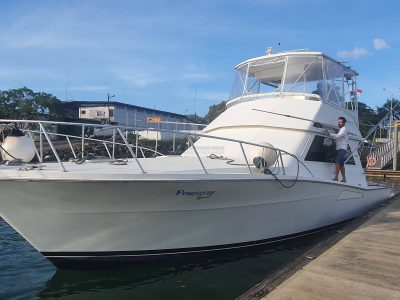 Half-Day 4 Hour Private Cruising at Panama Bay - Viking 46'