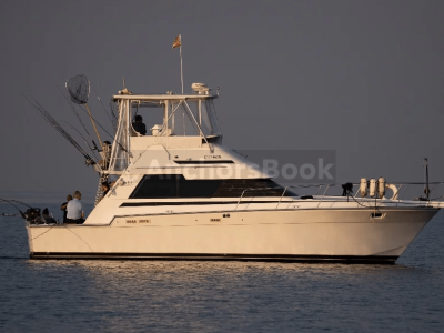Yacht Rental In Mississauga & Toronto - 12 Max Guests