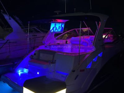 Party Boat Rental In Auckland - 12 Guests Max