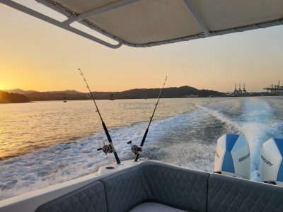 Todomar 38' - Charter privado de medio día