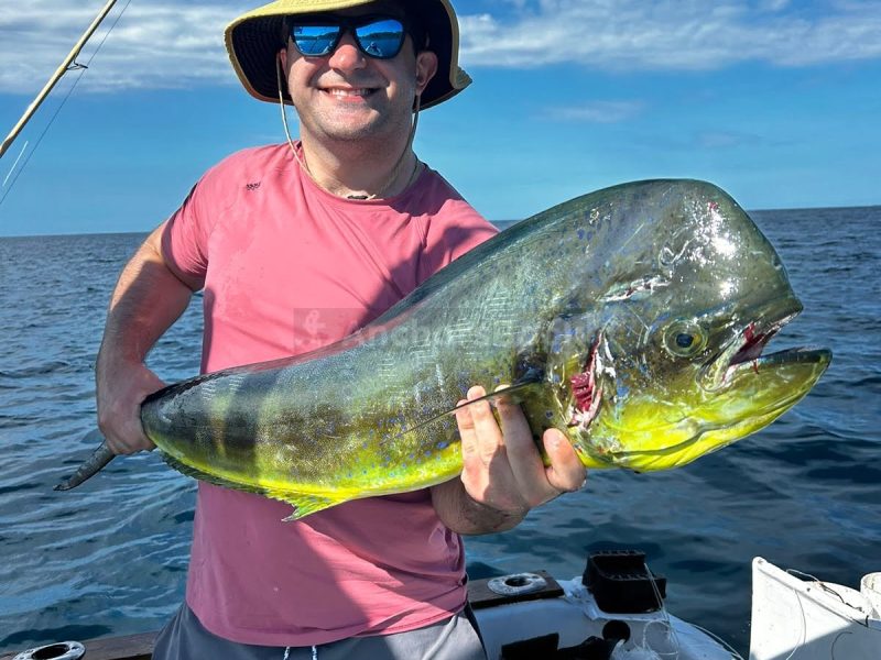 Half Day (5 hours) Sport Fishing Charters in the Papagayo Gulf
