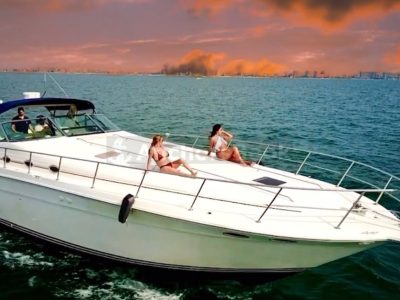 Succulenta Rosé Yacht (Captain & Fuel included)