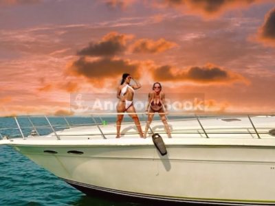 Succulenta Rosé Yacht (Captain & Fuel included)