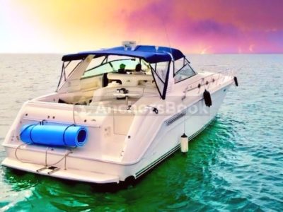 Succulenta Rosé Yacht (Captain & Fuel included)