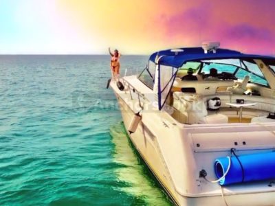 Succulenta Rosé Yacht (Captain & Fuel included)