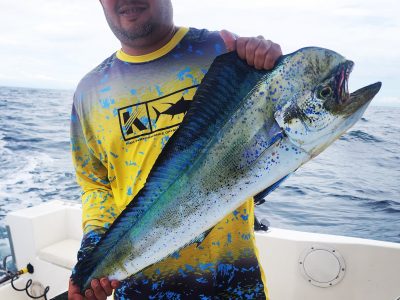 Blue Lobster Full Day Fishing Tours