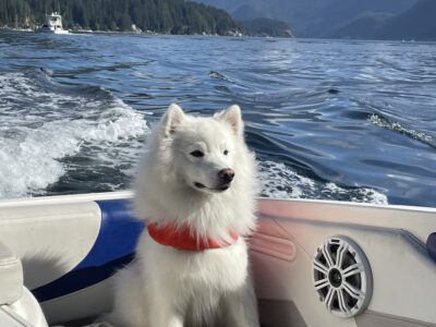 North Vancouver Boat Rental - 6 Max Guests (Pet Friendly)
