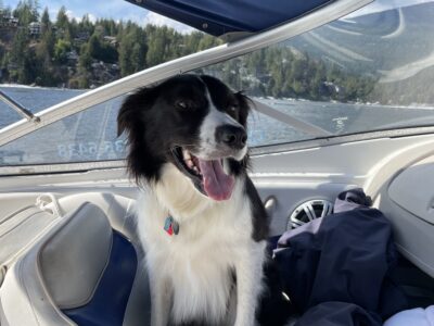 North Vancouver Boat Rental - 6 Max Guests (Pet Friendly)