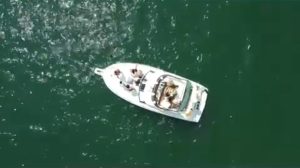 Montreal Boat Rental & Yacht Charter | AnchorsBook.com