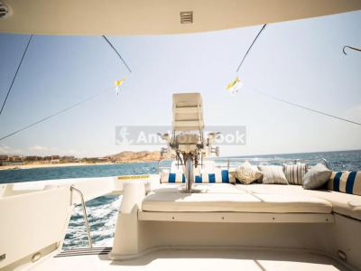 2-3 Hour Whale Watching Tour in Cabo San Lucas