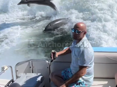 Explore Adventure with Our Luxury Party Yacht Rental in St. Pete, FL! 🚤 (Dolphin Watching, Birthday Party, Booze Cruises, and more)