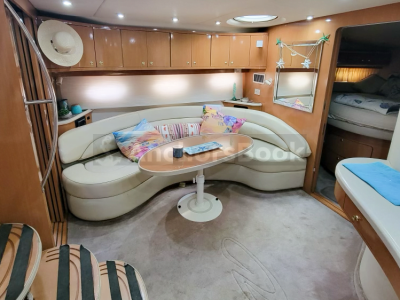 Explore Adventure with Our Luxury Party Yacht Rental in St. Pete, FL! 🚤 (Dolphin Watching, Birthday Party, Booze Cruises, and more)