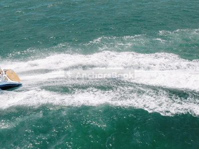 Hilton Head Luxury Yacht Day Charter: 10-4pm (6 hours) - Private Charter