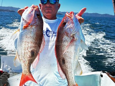 Half Day (5 hours) Sport Fishing Charters in the Papagayo Gulf