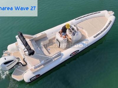ALTAMAREA Wave 27