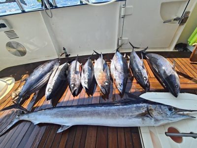 Luxury Fishing Yacht Charter In Greece - Includes Food & Drinks onboard, Fishing Equipment, Service Crew
