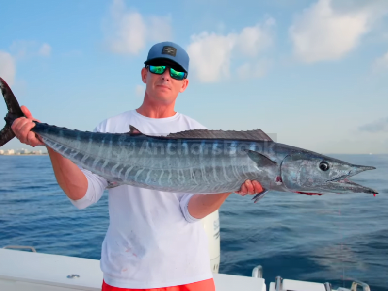 5 Hour Fishing Charter - Catch Exotic Fish | Drinks, Lunch, Live Bait Included | Up To 45 GUESTS in Cabo San Lucas