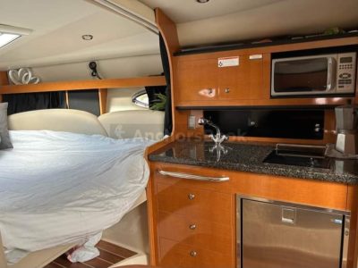 Chaparral 33ft yacht - In Montreal Up To 14 Guests