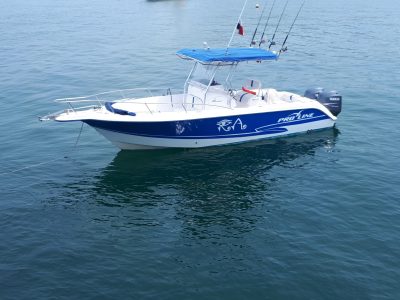 Half-Day 4 Hour Private Cruising and Fishing Tour at Panama Bay