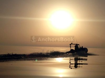 Flying Carpet - RIB Self-Drive Rental (In Sifnos)