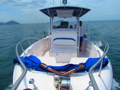 Half-Day 4 Hour Private Cruising and Fishing Tour at Panama Bay