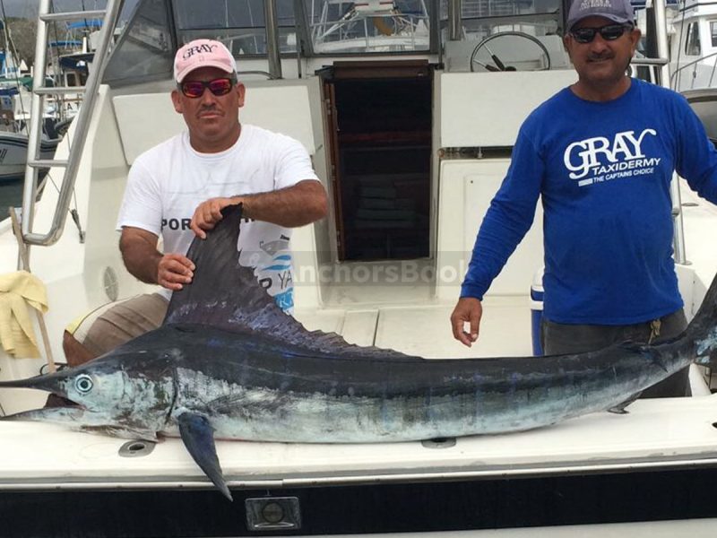 Fishing Boat Rental In Puerto Vallarta, Jalisco | Alura 35