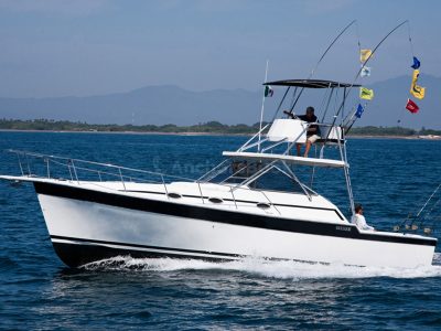 Fishing Boat Rental In Puerto Vallarta, Jalisco | Alura 35