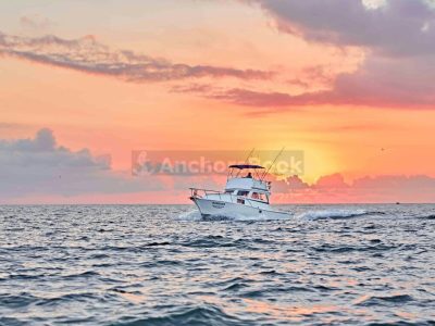 Custom 36: Best Value Boating in PV
