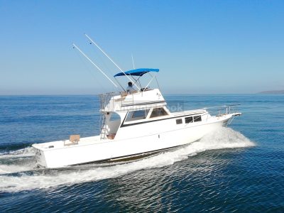Custom 36: Best Value Boating in PV