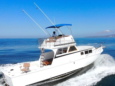 Custom 36: Best Value Boating in PV