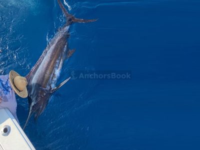 Fishing Boat Rental In Puerto Vallarta, Jalisco | El Matador