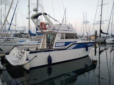 Cascais: Half-day Fishing Tour (Priced Per Person/Guest)