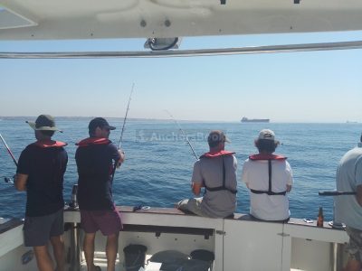 Cascais: Half-day Fishing Tour (Priced Per Person/Guest)
