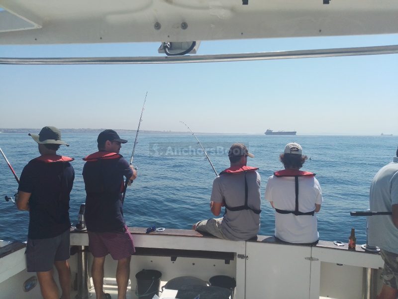 Cascais: Half-day Fishing Tour (Priced Per Person/Guest)