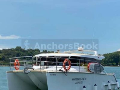 4 Hour Private Yacht Charter to Lazarus Island - SunRise 40ft | With Food, BBQ, Drinks, Watersports & Fishing