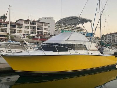 Fishing Boat Rental In Puerto Vallarta, Jalisco | Bertram 36