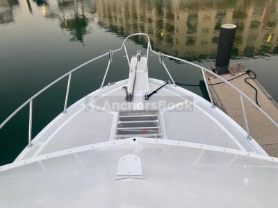 Fishing Boat Rental In Puerto Vallarta, Jalisco | Bertram 36