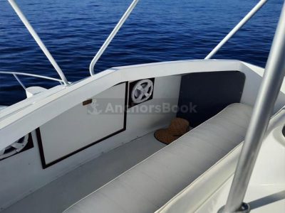 Fishing Boat Rental In Puerto Vallarta, Jalisco | Bertram 36