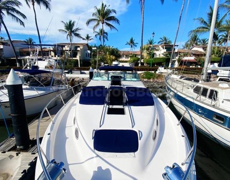 Luxury Yacht Rental In Puerto Vallarta, Jalisco | SeaRay 45