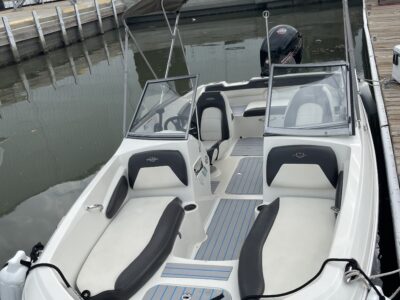 BOAT FUN IN THE SUN - STINGRAY STYLE!