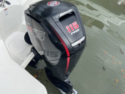 BOAT FUN IN THE SUN - STINGRAY STYLE!