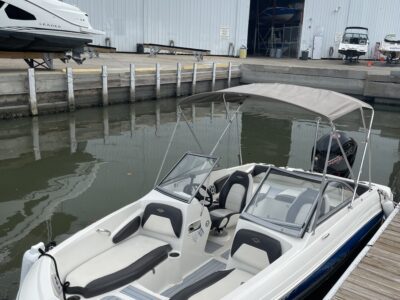 BOAT FUN IN THE SUN - STINGRAY STYLE!